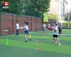 [法甲]第17轮：摩纳哥1-3里昂 集锦