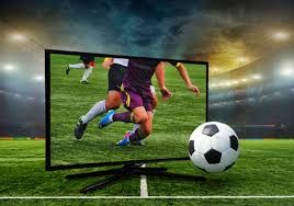 亚特兰大勇士队从密尔瓦基搬迁至南方，成为美国南部第一支大联盟球队